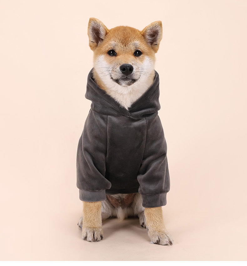 Pull en velours chaud pour chien – Automne & hiver