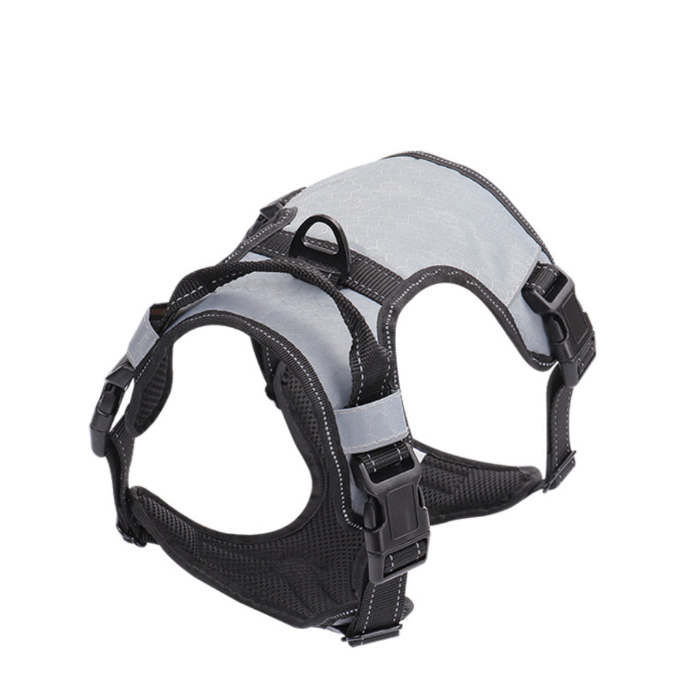 Pack Balade Chien – Harnais + Laisse Réfléchissante