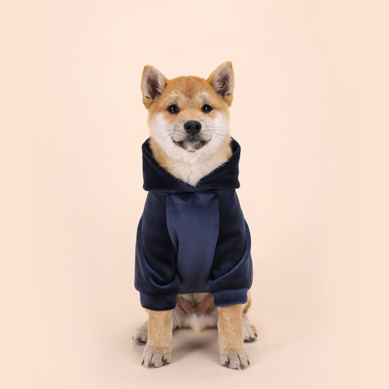 Pull en velours chaud pour chien – Automne & hiver