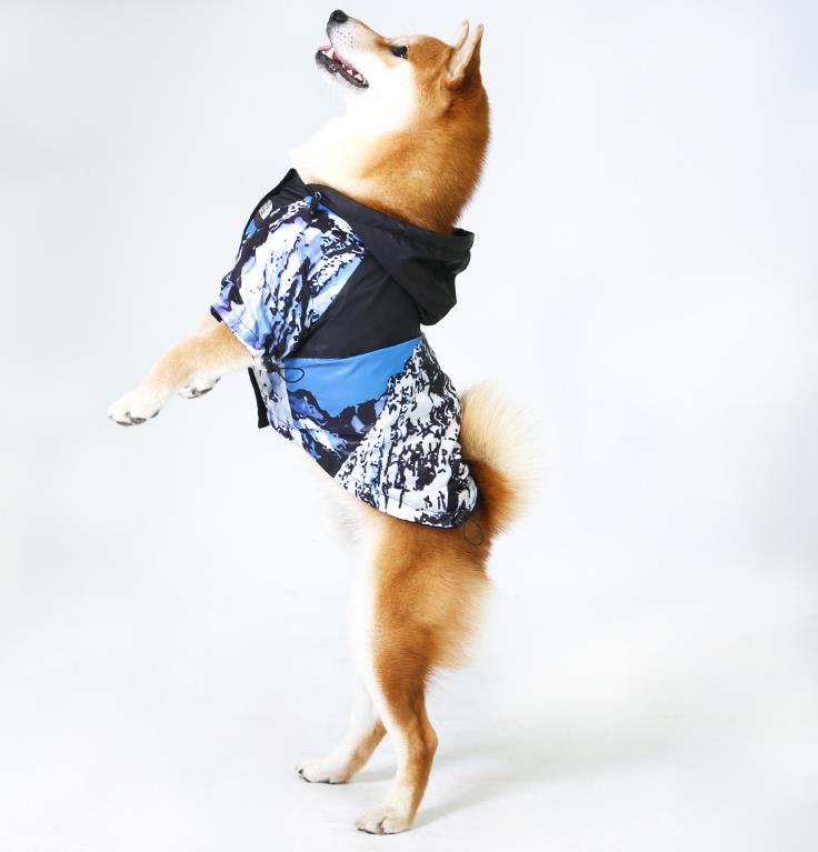 Veste imperméable pour chien – Coupe-vent & pluie