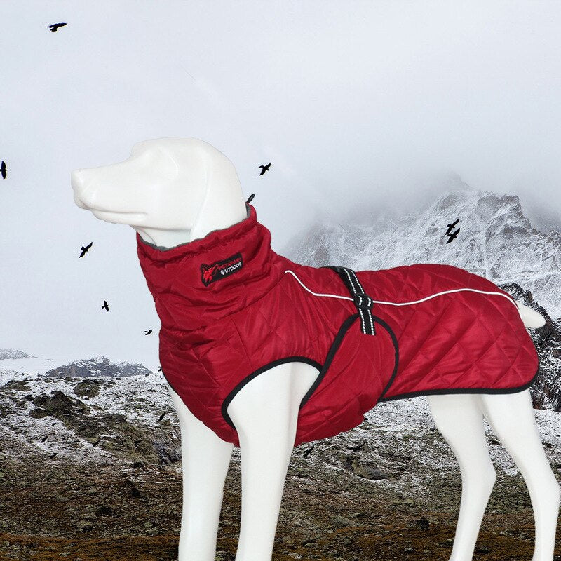 Manteau Polaire d’Hiver pour Grand Chien