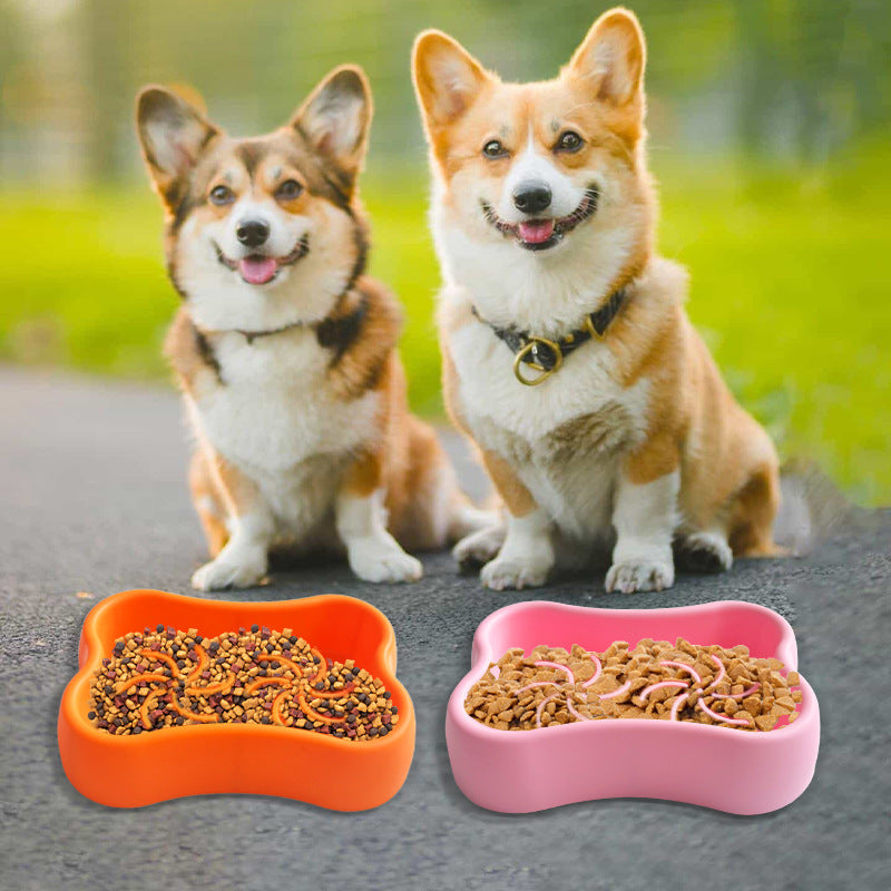 Gamelle pour chien en silicone alimentaire – Antidérapante & résistante