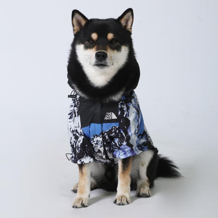 Veste imperméable pour chien – Coupe-vent & pluie